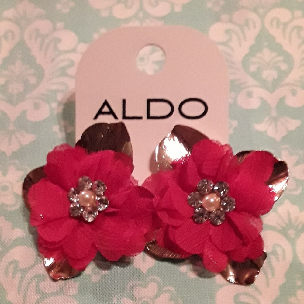 ALDO EARRINGS